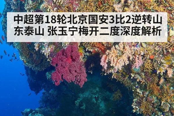 中超第18轮北京国安3比2逆转山东泰山 张玉宁梅开二度深度解析