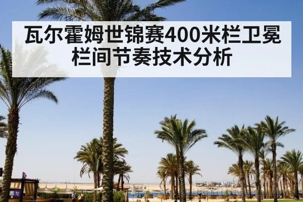 瓦尔霍姆世锦赛400米栏卫冕栏间节奏技术分析